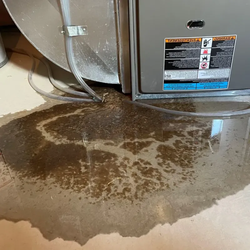 Pipe Burst and Leak Restoration in Redwood Shores, CA